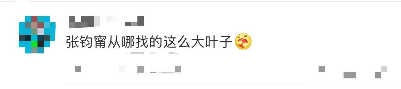 张钧甯从哪找的这么大叶子 张钧甯现身ELLE风尚大典，直接带着“人间莴苣叶”惊喜