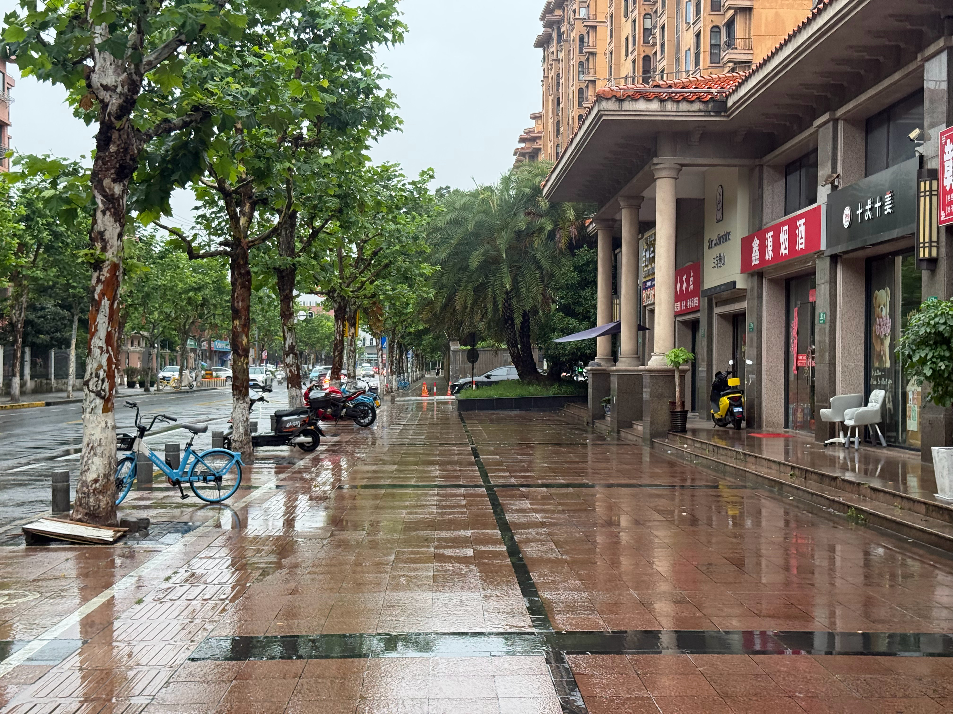 跑步  跑步日记：2026年6月24日星期三，每天跑步一公里，连续不间断跑步打卡
