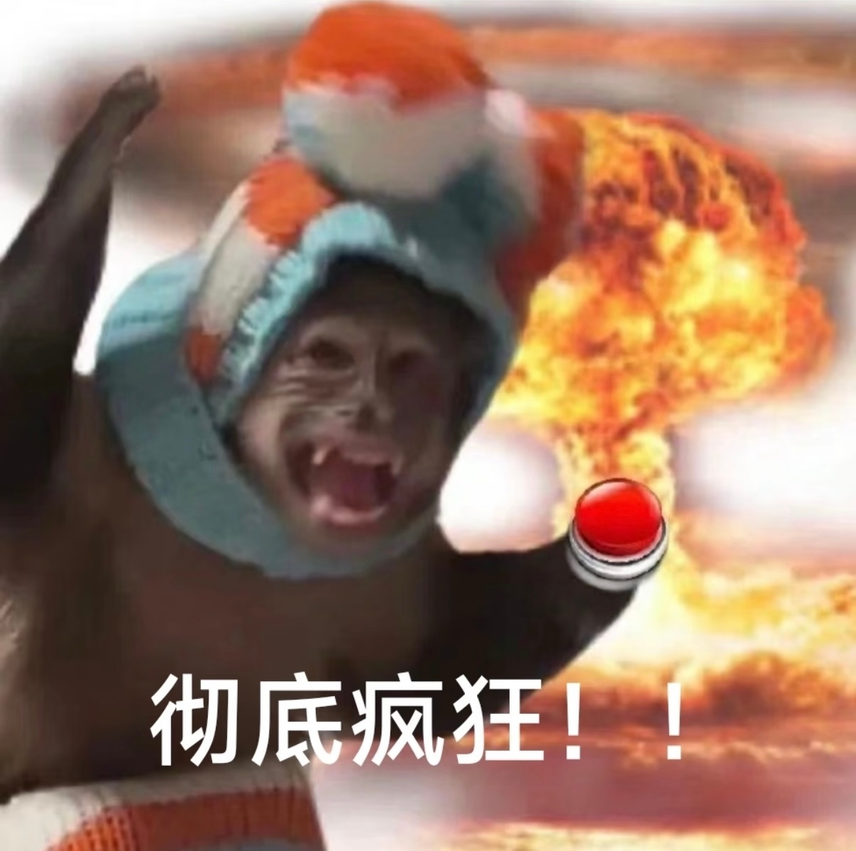 今天的我和你 ​​​