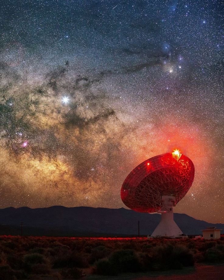 如果你可以向外星人发送信息，你会说什么？ ​​​