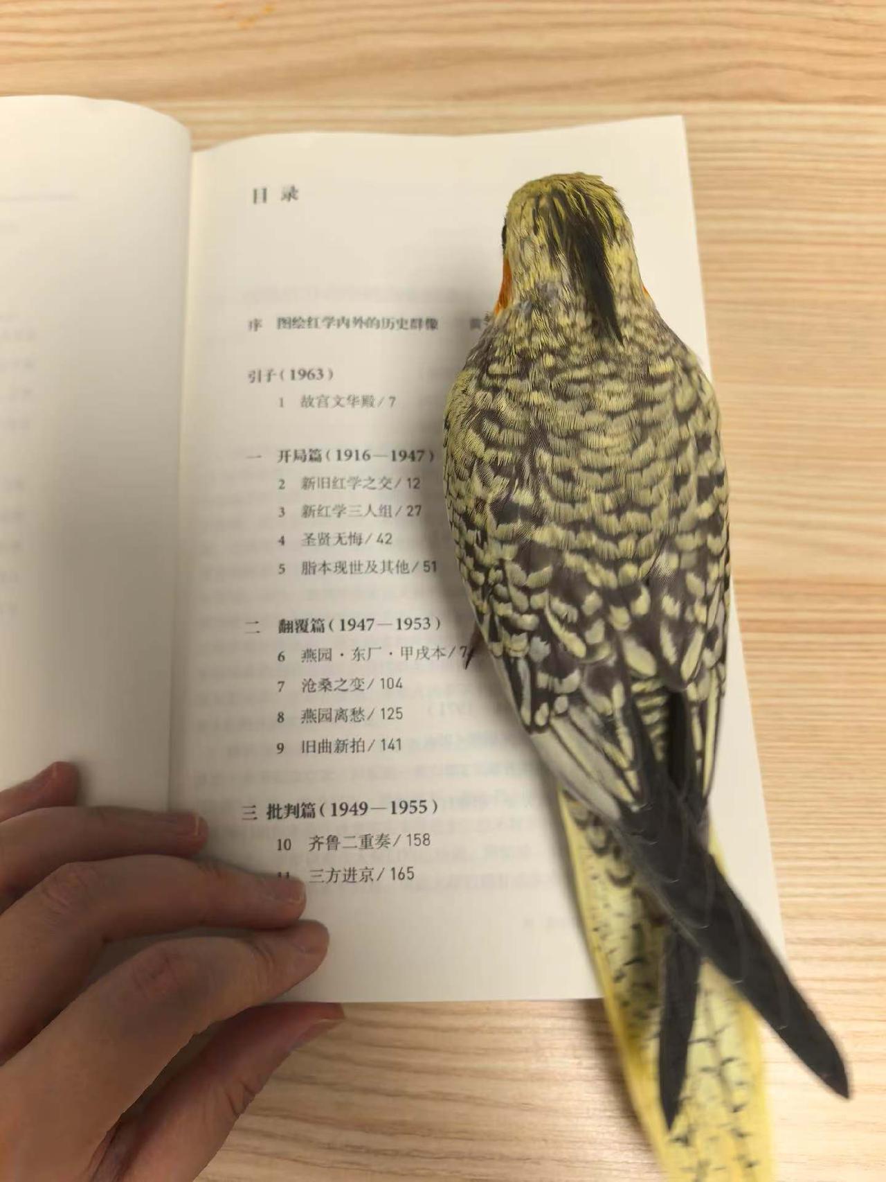 孩子问，这就是知识的力量吗🐦[大笑]