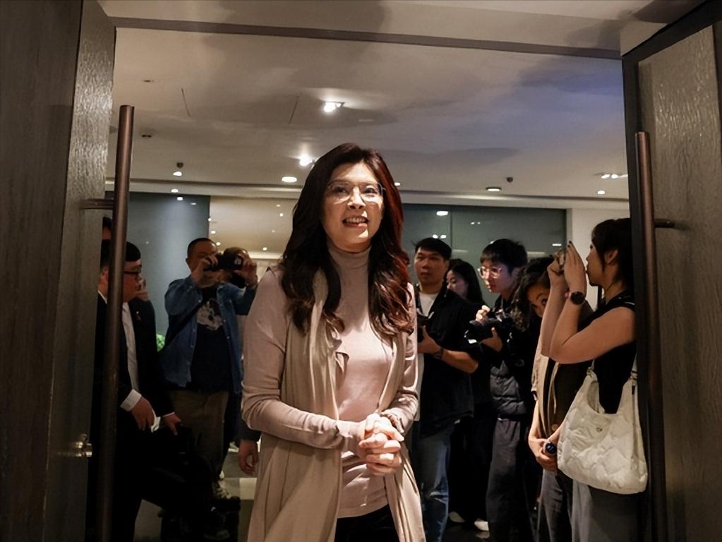 国民党核心人物全体出动，14人名单一出，岛内瞬间炸锅！郑丽文今天登机前的一番话，