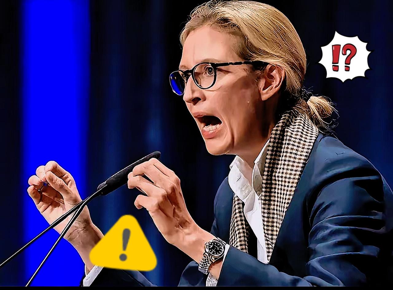 骂战发酵48小时！冯德莱恩硬刚魏德尔，欧盟内部炸锅，美国急着“灭火”？

​​上