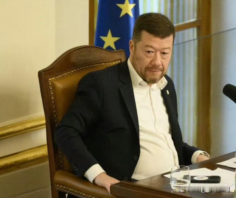 捷克共和国，反对派要求就议长冈村富夫的辞职进行投票。
导火索是他在新年致辞中严厉