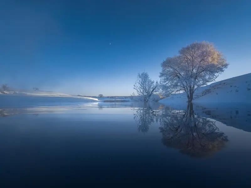 原本我挺讨厌冬天，阳光寡淡，手脚冰凉。不过《月令七十二候集解》说“冬，终也，万物