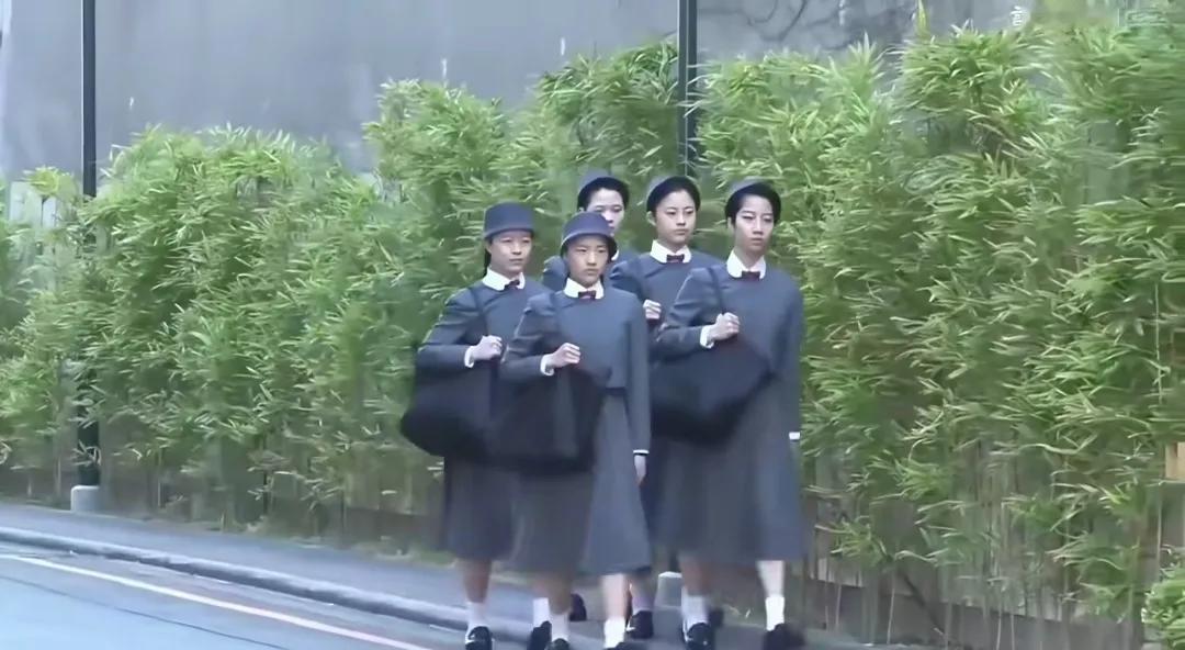 日本大阪马路边行走的几名女大学生一脸呆木。