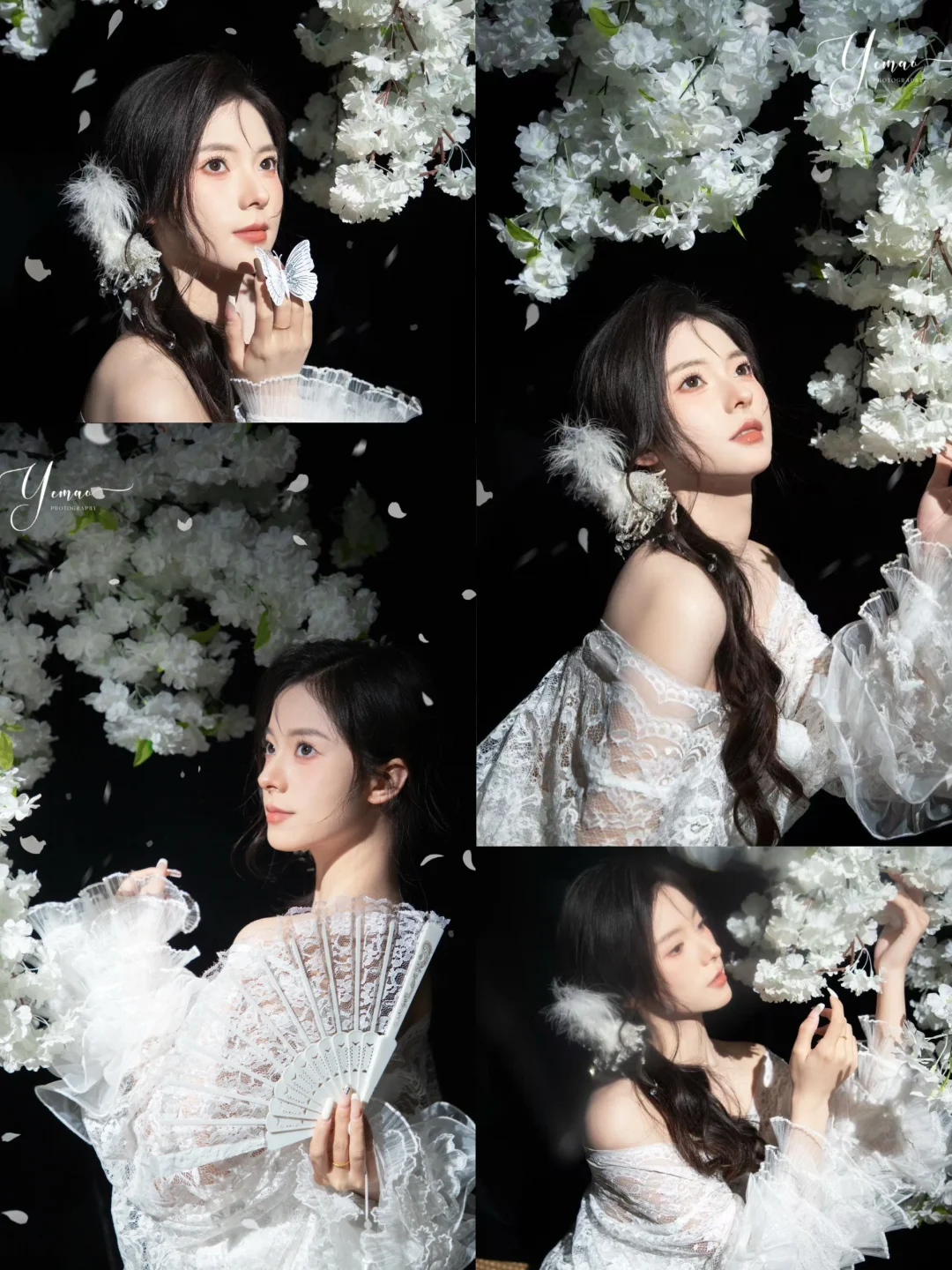 超喜欢白樱自带的清冷感！｜春日写真推荐