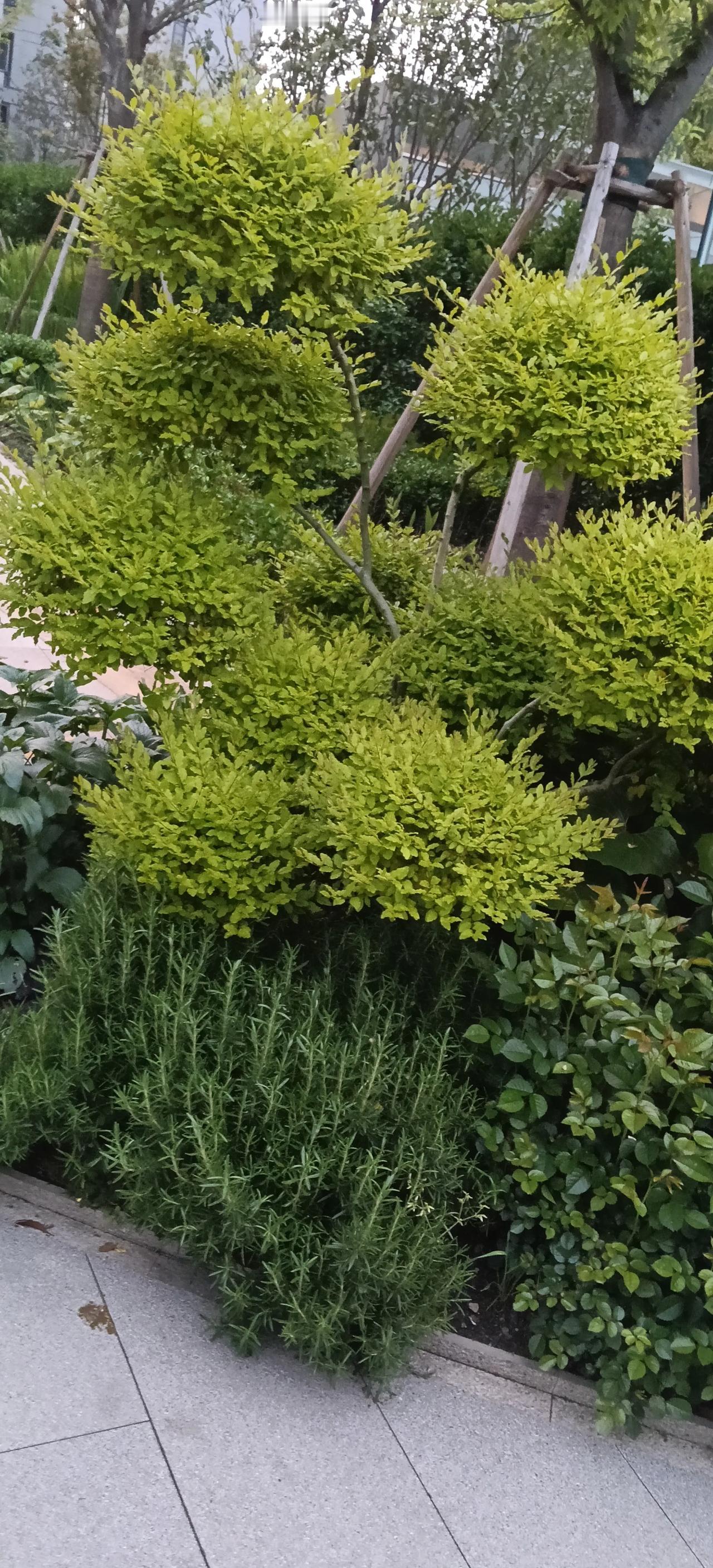 元朝和清朝为什么是中国王朝?
/元朝和清朝之所以是中国王朝，核心在于它们都继承了