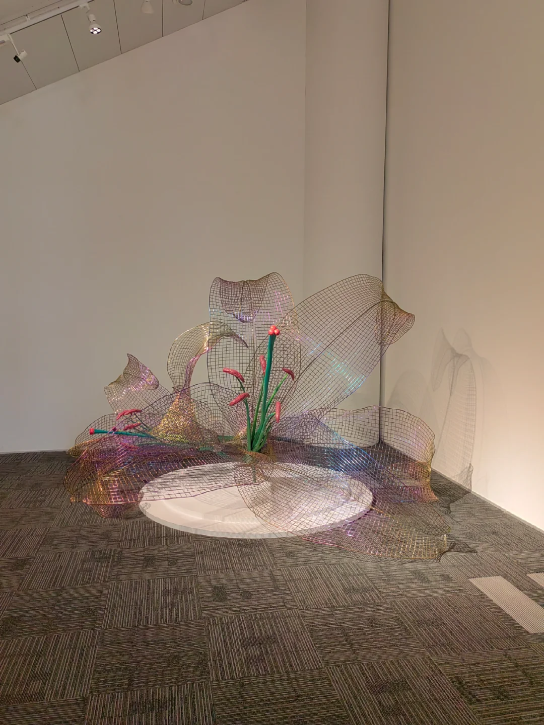 怎么知道别人在拿你当跳板—骑驴找马