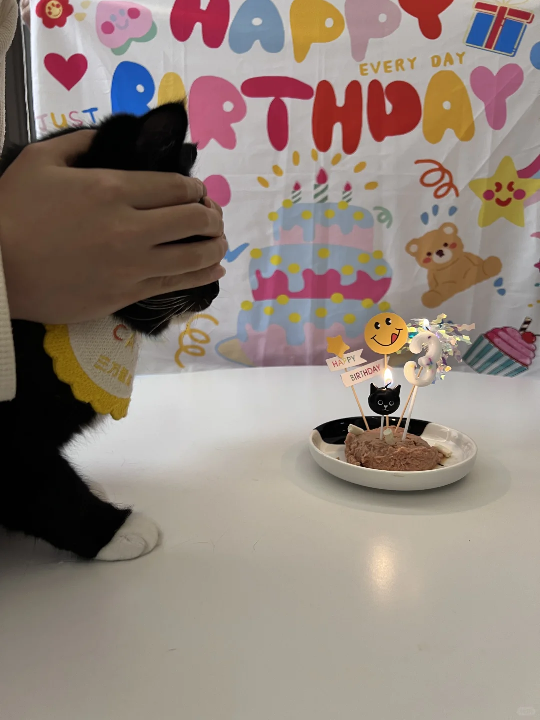 今天是黄色系生日小猫咪