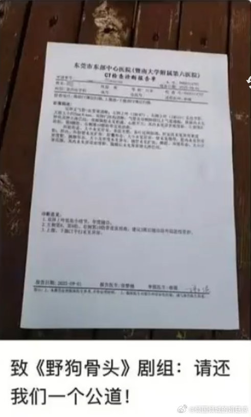 疑似野狗骨头群演受伤维权野狗骨头剧组拍摄过程中群演意外负伤，沟通陷入僵局，心疼了