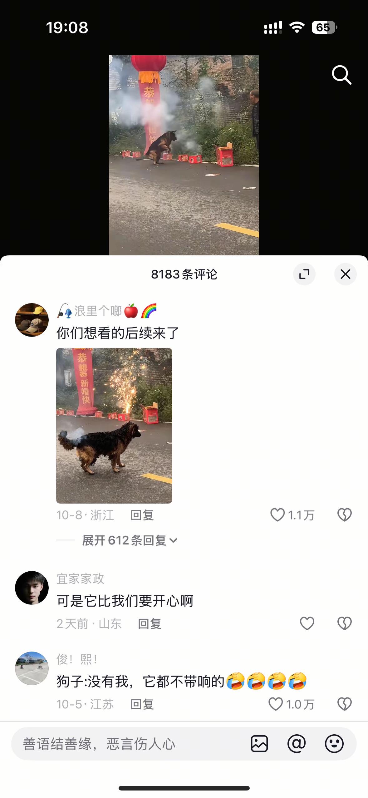 狗狗：这炮没有我都响不了