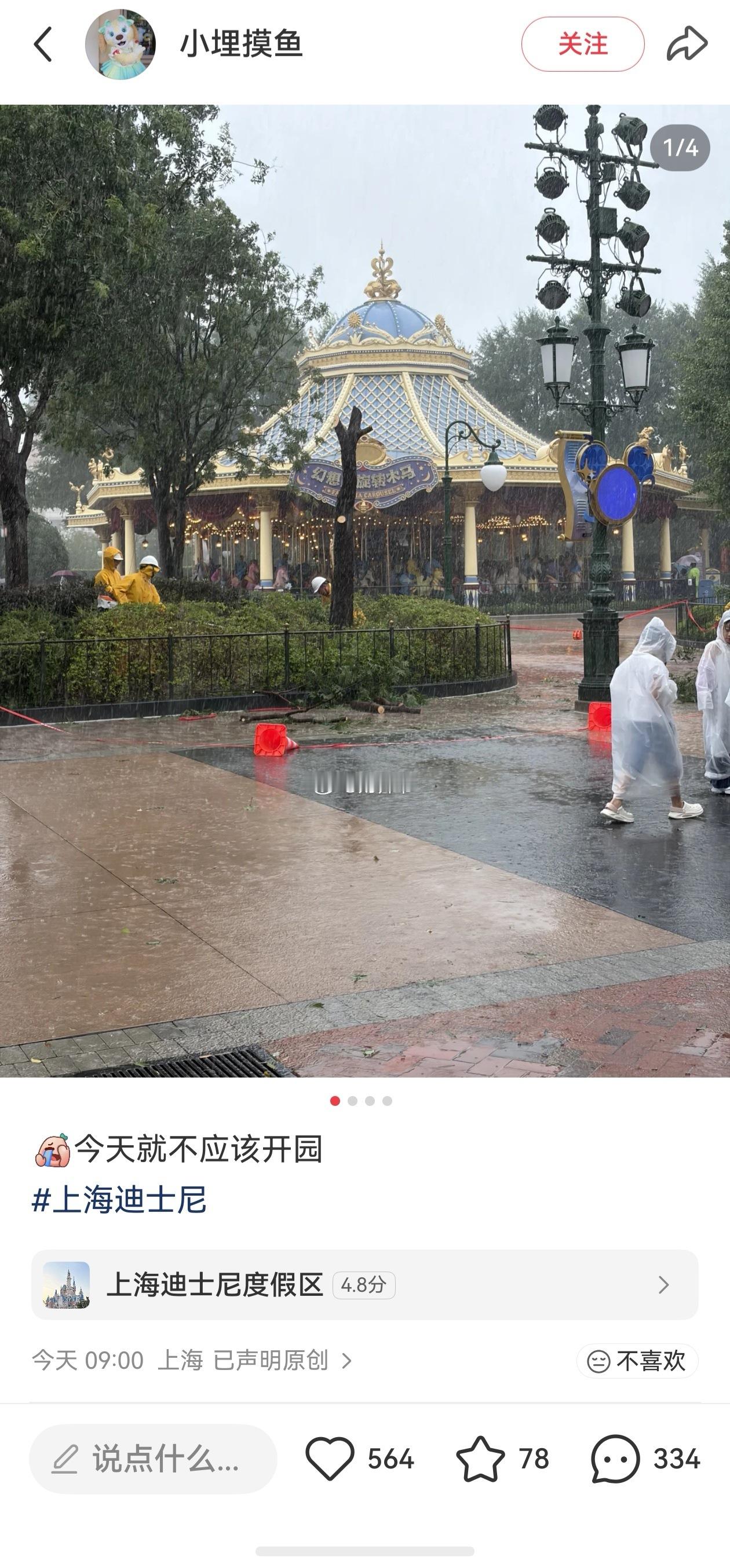 说是今天上海迪士尼依然是开园的，然后游客还不少……一个敢开，一个敢玩。【台风把1