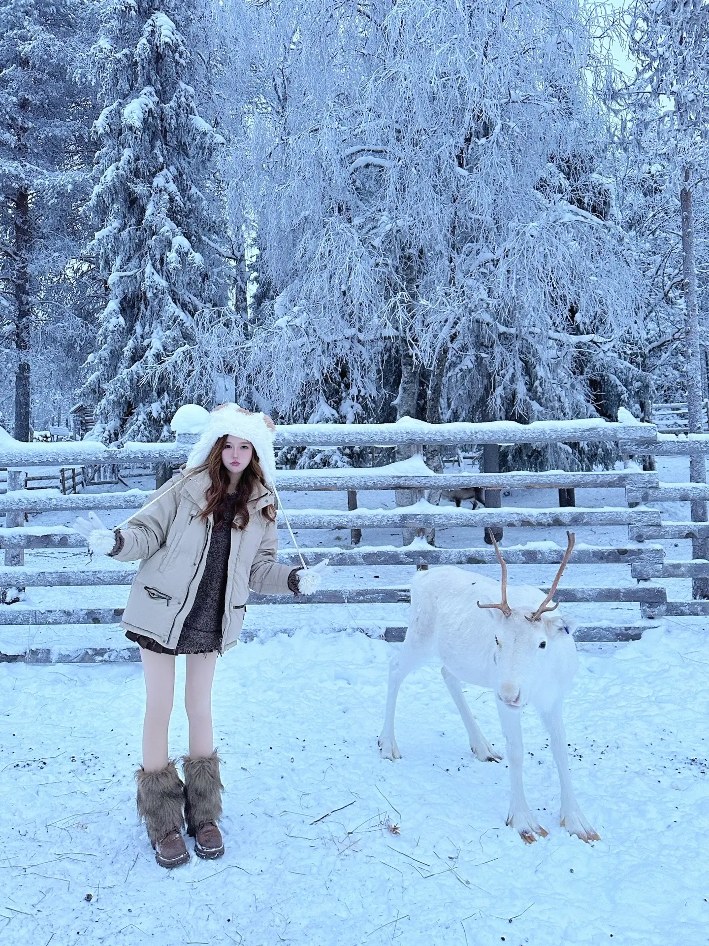 又看到极光啦。你也好运