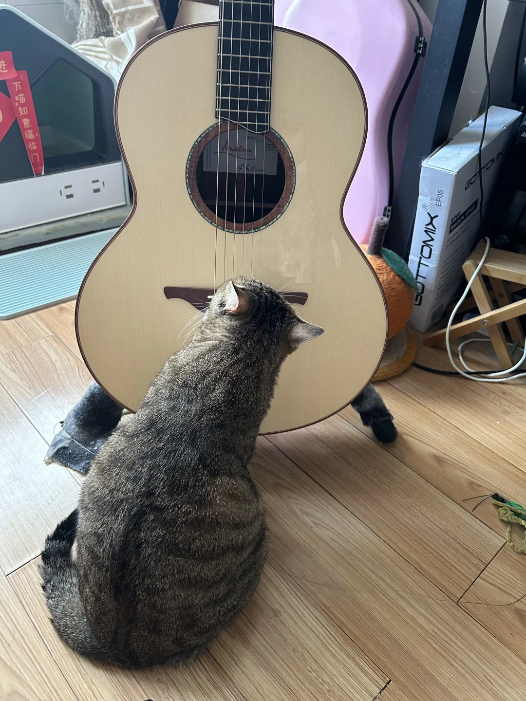 猫条一定藏在这个洞洞里…