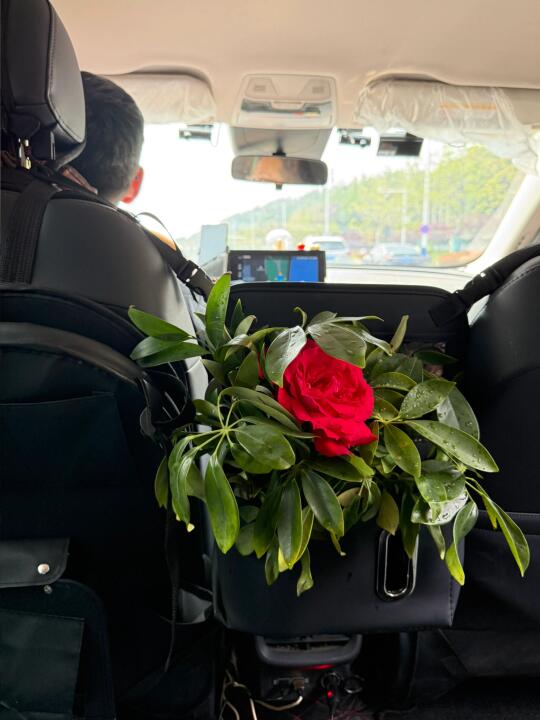 狠狠狠狠羡慕烟台人民了