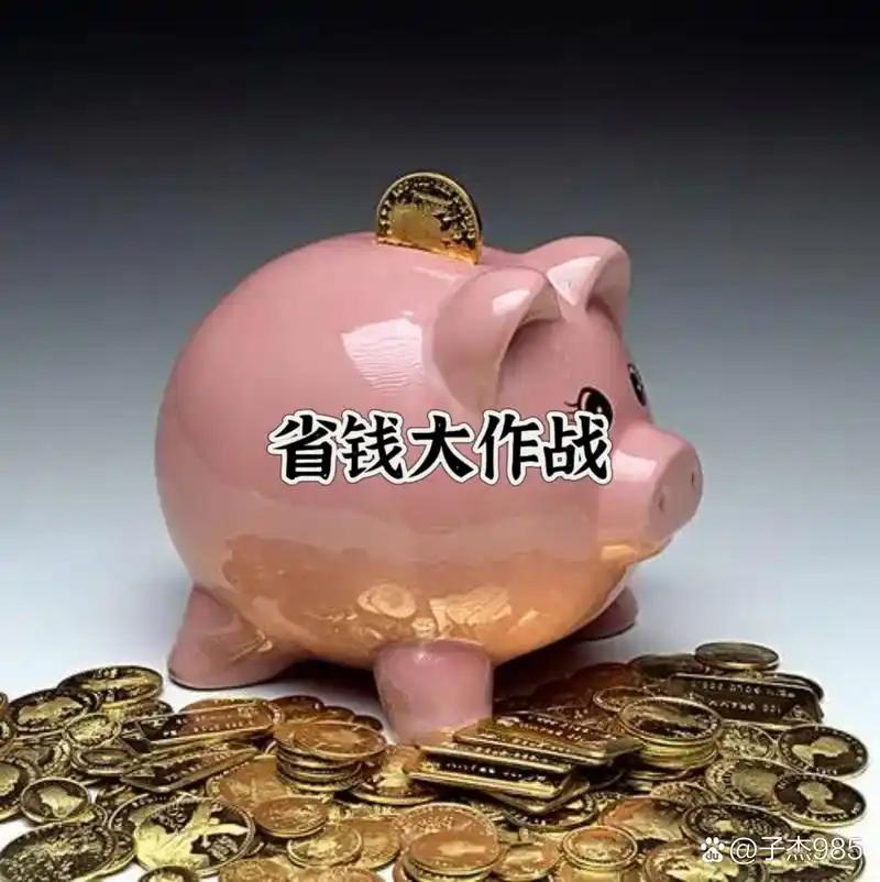 省钱大作战
       2026年，我打响了省钱攻坚战。饮食上，以往一周下一二