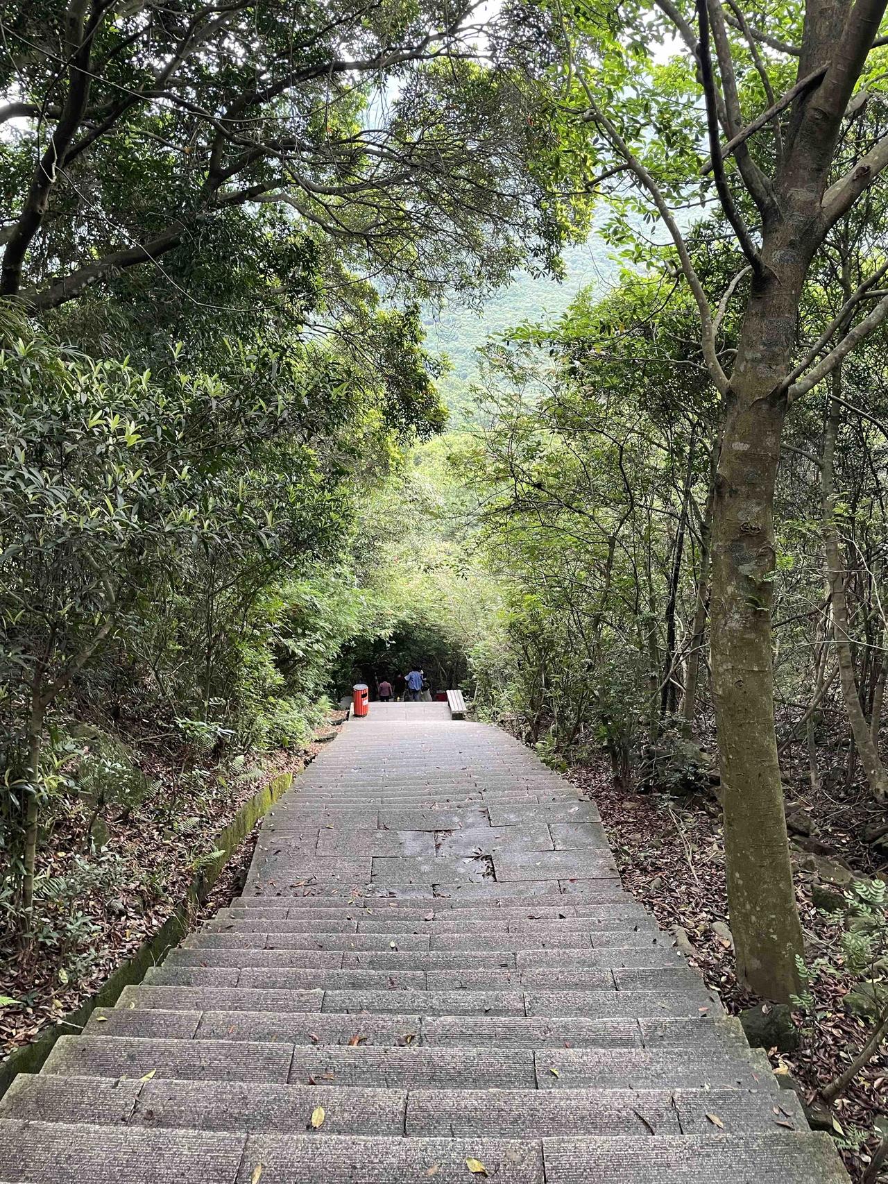 就是一条通道，一条向往灵性的生命通道！