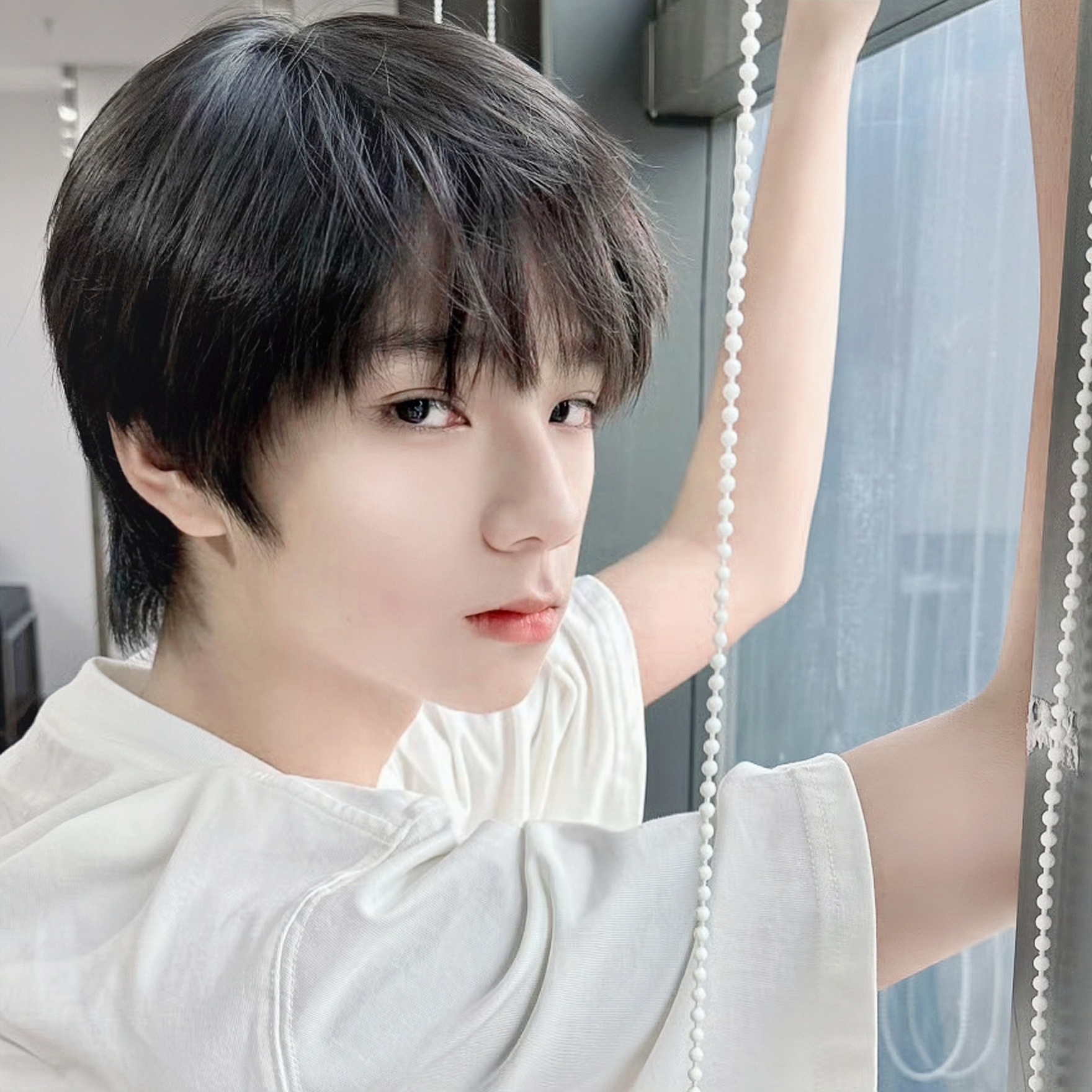 今日份男明星白色系头像分享拿图点赞即可王橹杰 