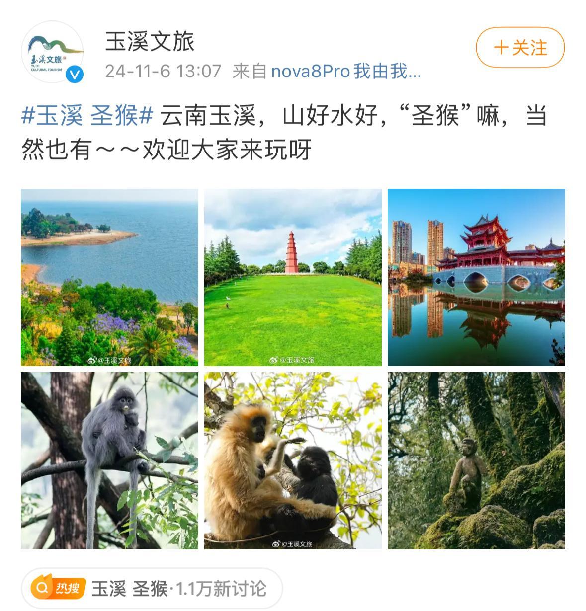 哈哈哈哈玉溪文旅发了“圣猴”...丁禹兮...玉溪圣猴化得到了认证🙊#丁禹兮收