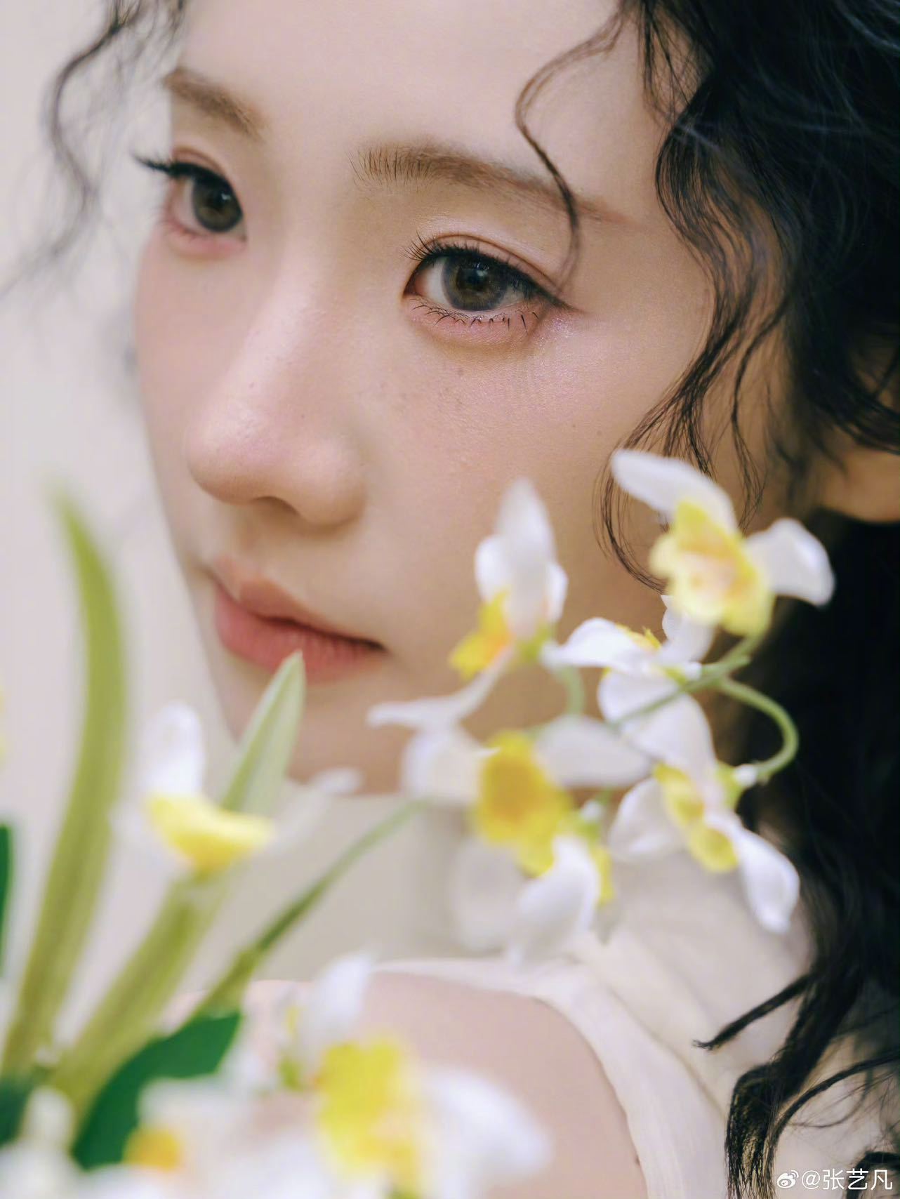 张艺凡羊毛卷出图易如反掌 的羊毛卷造型简直不要太好出片蓬松卷发勾勒出精致小脸，略