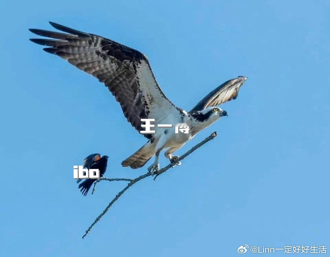 要讲要讲 ​​​
