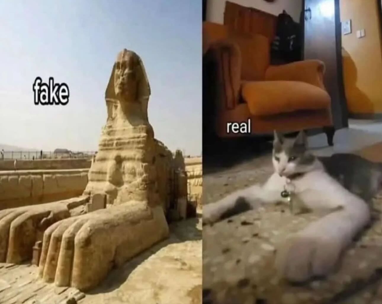 真假对比meme ​​​