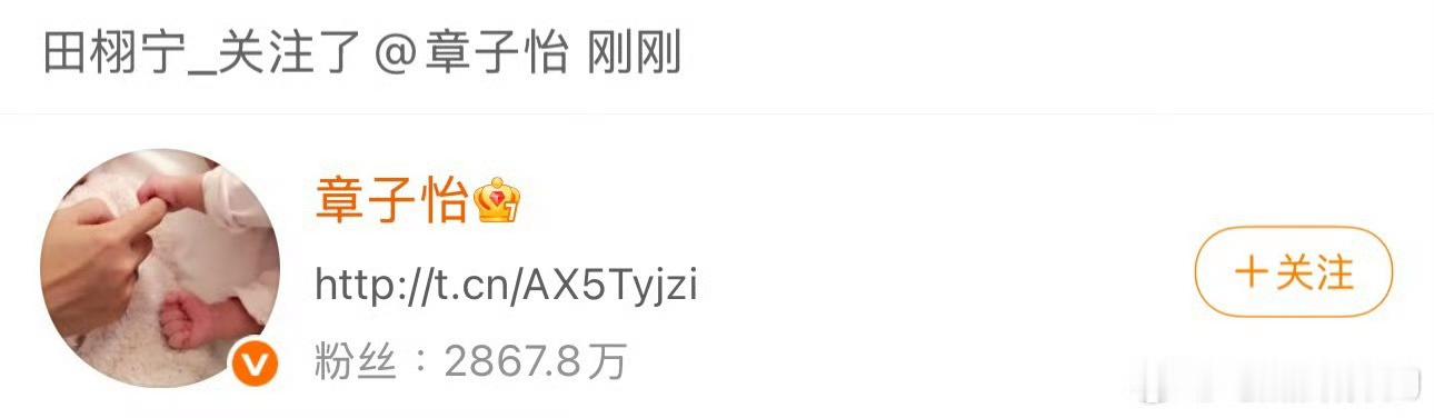 🍉：章子怡新电影合作田栩宁，已谈好，真瓜。 