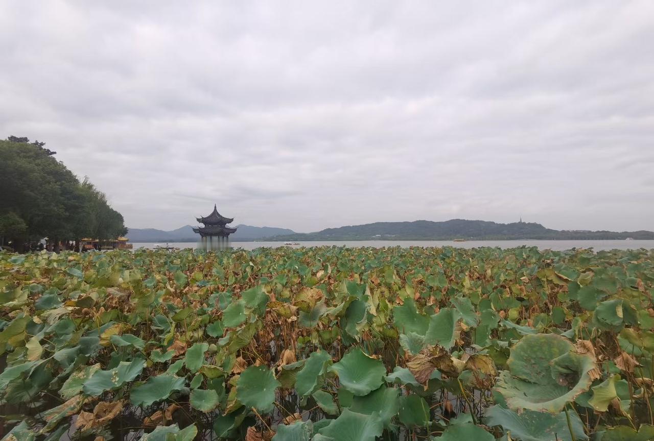 喜欢董宇辉跟学历有关系吗? 
我觉得关系不大。有人质疑董宇辉学历，在直播间挑衅问