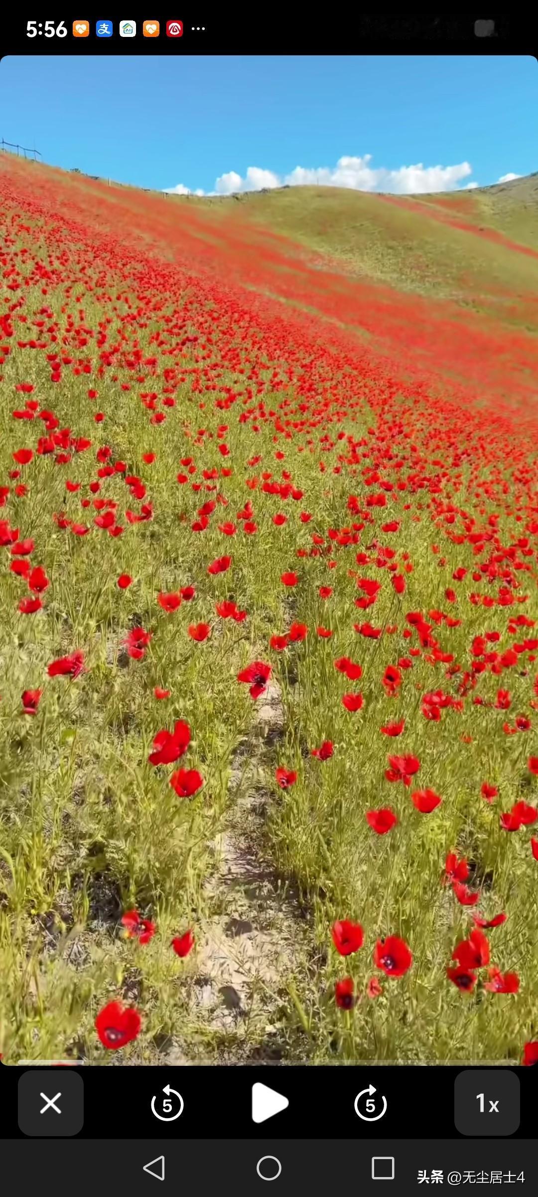 以自己胃癌的经历建议共事的大姐做了肠胃镜，去除了病患，解除了后顾之忧！
    