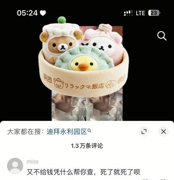 原博主是在找出国失踪的姐姐没办法在网上求助 搞不懂说出这种话的人别不怕遭报应吗 