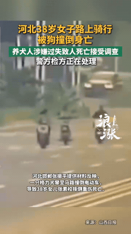 “太可恨了，必须严惩！”河北邯郸，一女子正常在路上骑车上班时，路边突然冲出来一只