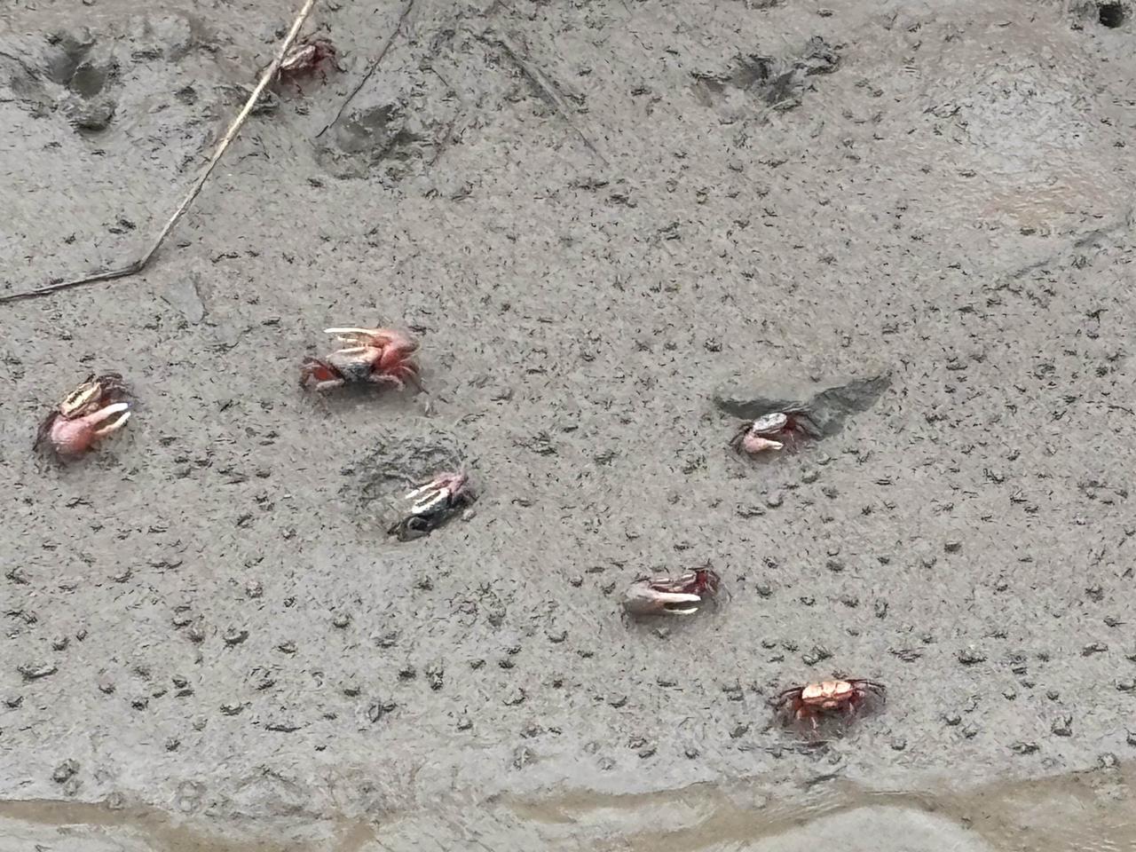 2026 年中国股市几条主线？

2026年A股核心主线可归纳为5条，兼顾机构共