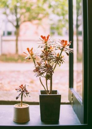 2021年剩余的时间“余额”已经不足。也许目标还未达成，但千万别放弃，年轻的你，