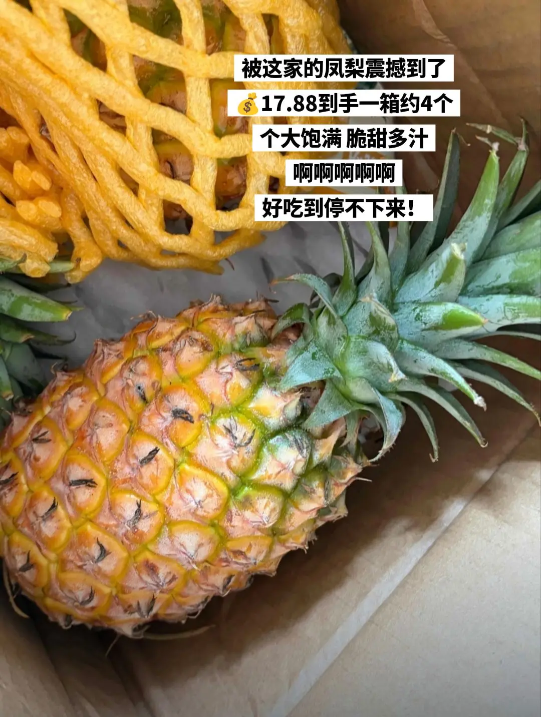个大饱满，脆甜多汁的大凤梨，我要追随你。