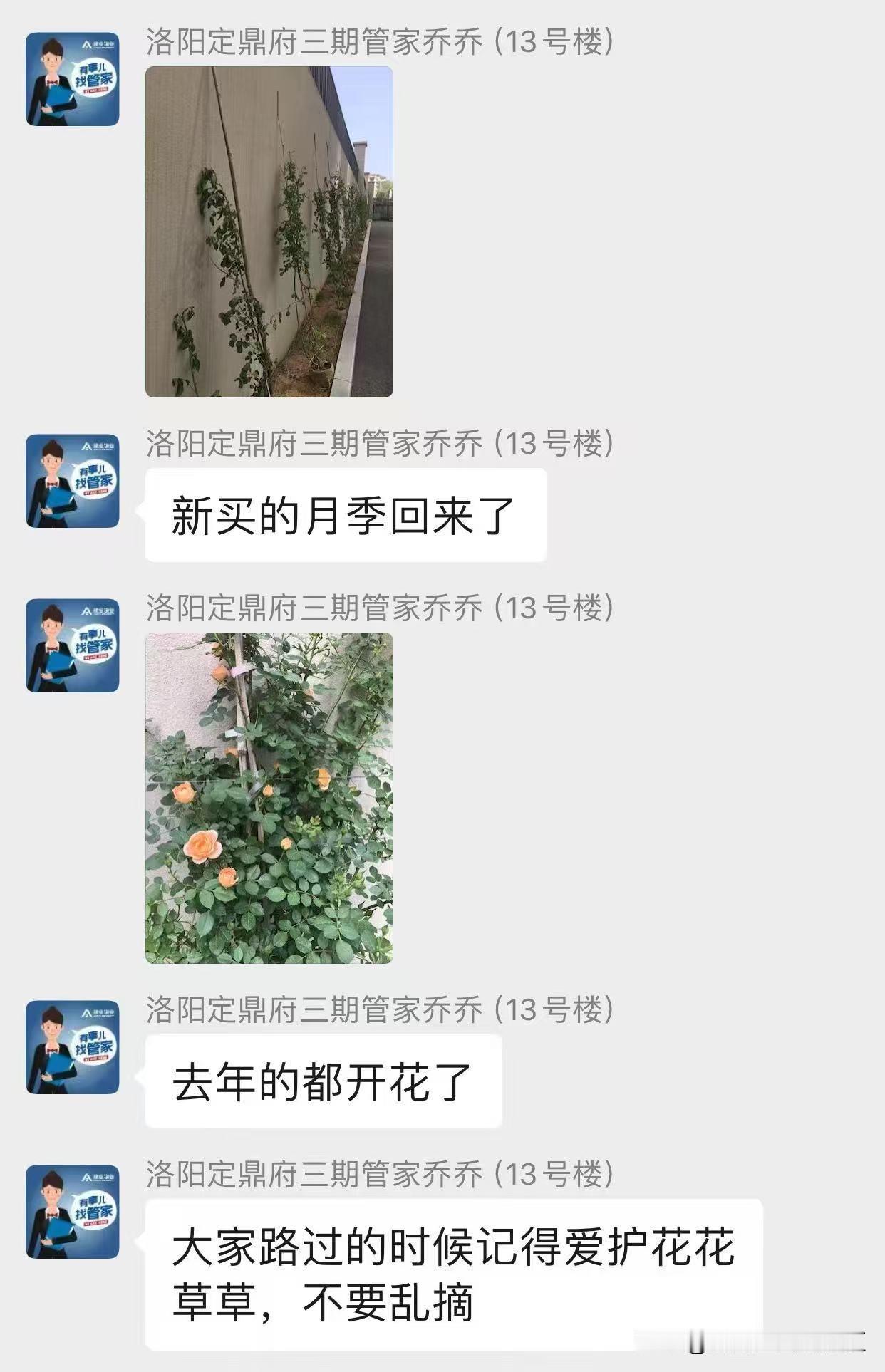 洛阳那么多人买建业，大多数因为物业好。绿都也是如此，绿都物业也很棒