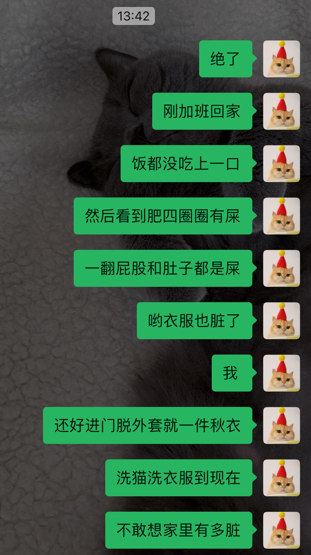 一个令人崩溃的2月初[苦涩]#菇冬怎么肥四[超话]# #萌宠闹新春# ​​​