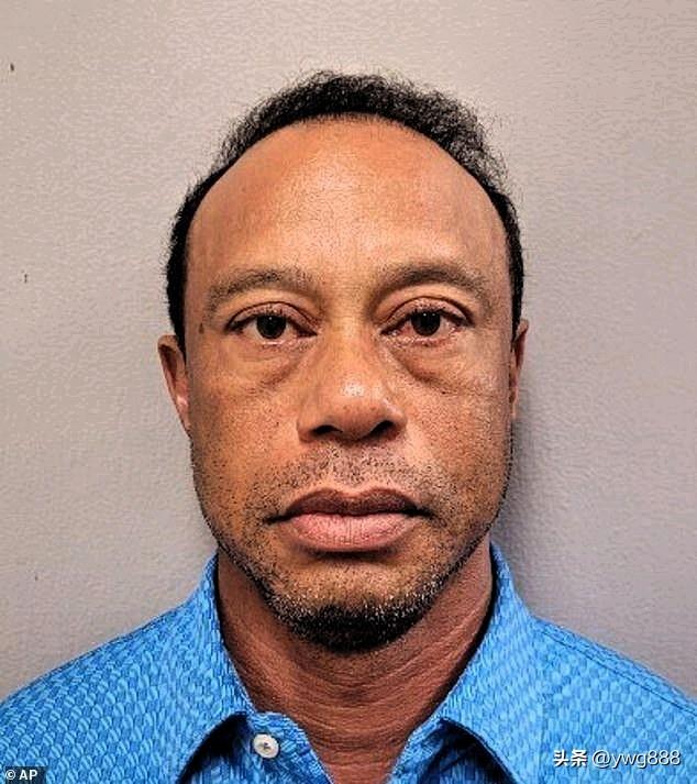 老虎·伍兹因酒驾被捕而颜面尽失，如今他不仅要承受痛苦，还要面对愤怒的女友瓦妮莎·