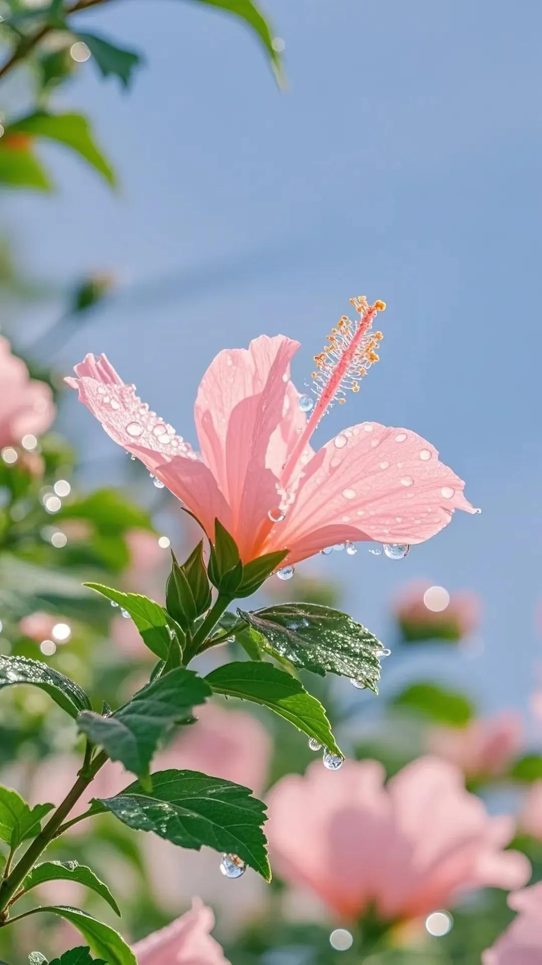 观察发现：
职场中，最大的对手，其实是自己。
  
生活总有风浪，总有不尽人意的