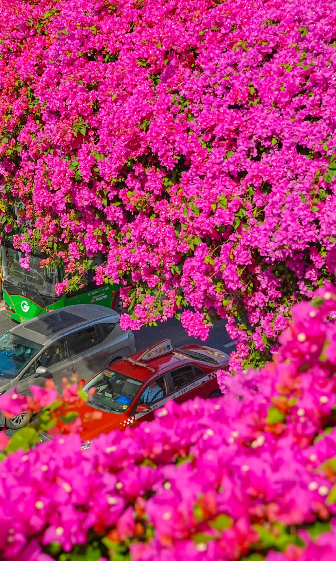 巨美❗又一次被广州的天桥美到📸都给我拍