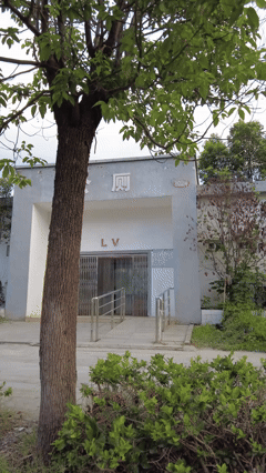 你敢信？一个公厕，门口正式写上“LV”了，它不火谁火？
不是恶搞。墙上刷着两个红