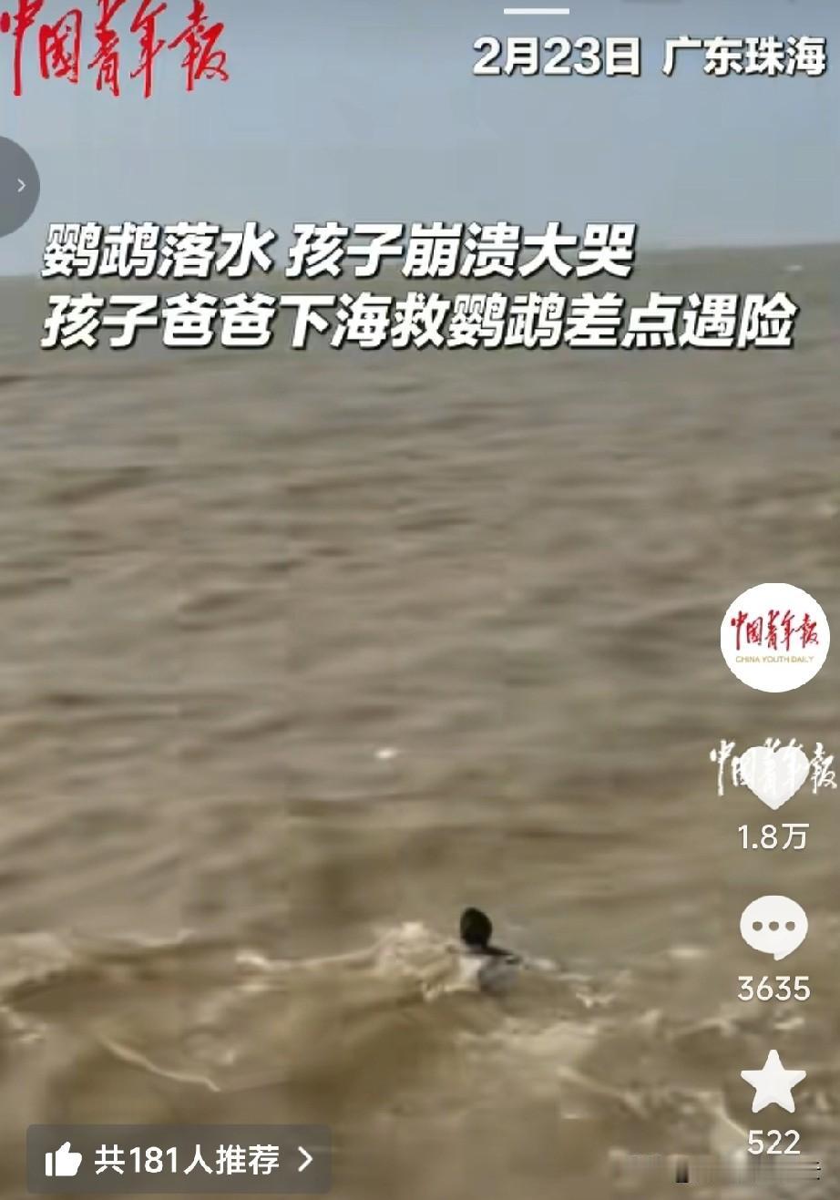 一点也不感动。广东珠海，一个男孩因为鹦鹉掉进海里了，就一直大哭。他的爸爸马上跳进