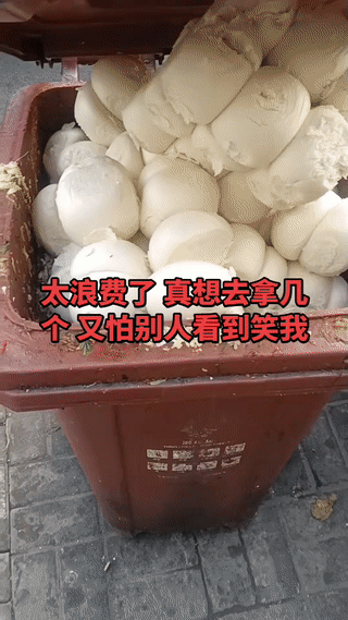 真是太败家！太浪费了！
这么多白花花的馒头就这么扔进了街头的垃圾桶里！
这些馒头