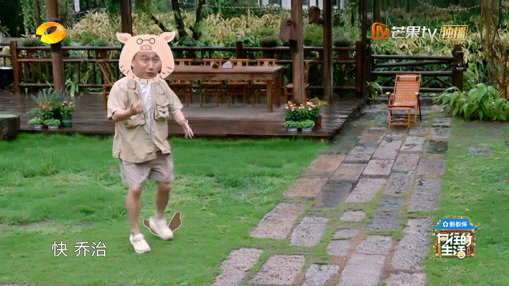 蘑菇屋版小猪佩奇 黄磊在向往的生活 里太会搞事！提议演《小猪佩奇》，何炅、彭昱畅