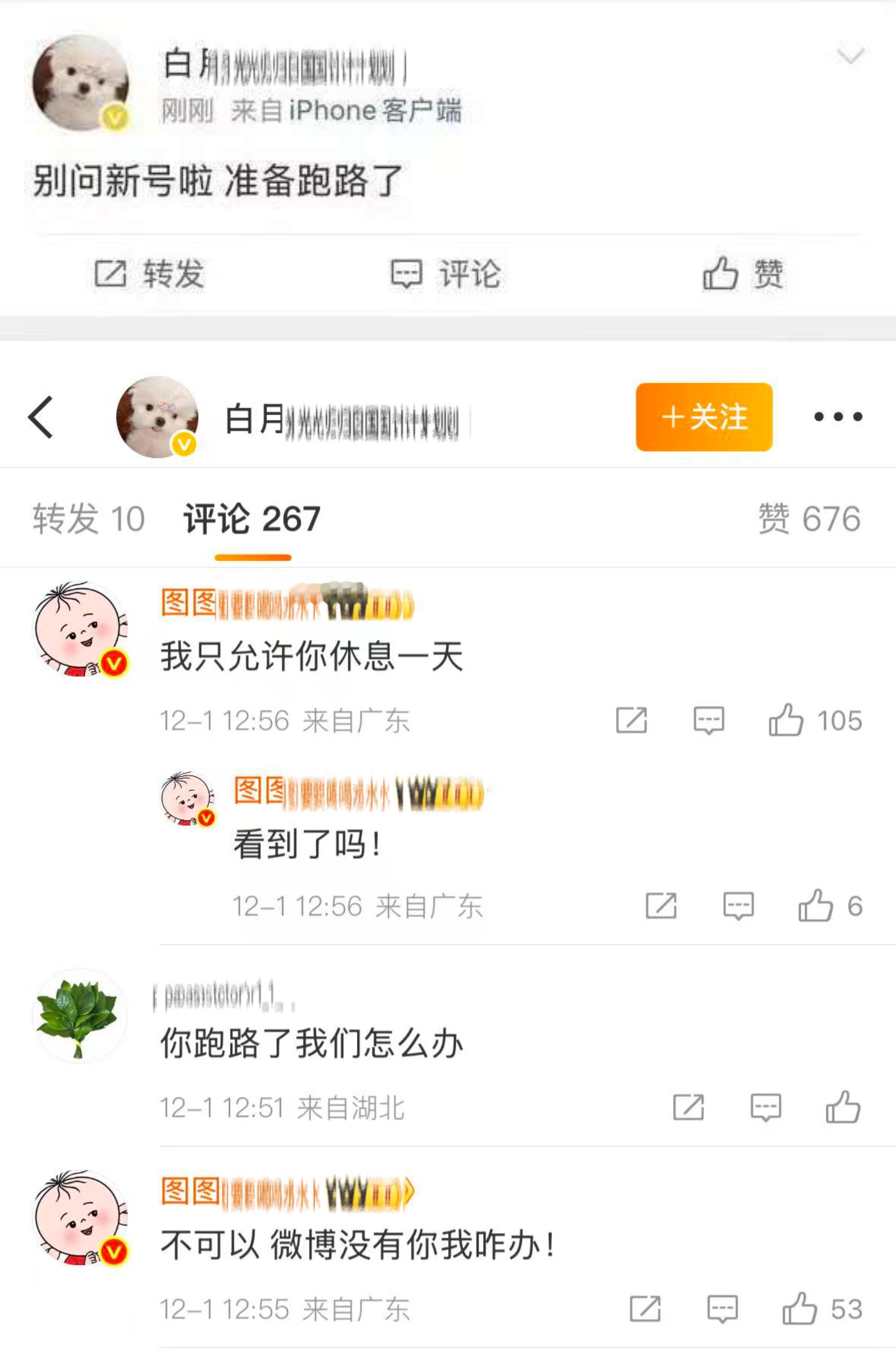 大粉跑路 柚子叶挽留中 