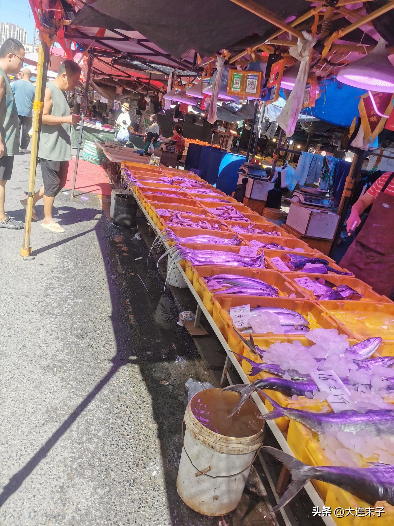 海鲜便宜了！

小海鲜价格拦腰下跌！

今天，逛刘家桥市场，真可以说海鲜琳琅满目