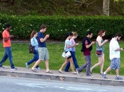 注：图源网络，侵删。