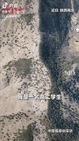近日，陕西商洛，一高二男生在卧虎岭徒步时，发现一座山脉两边植被竟不一样，开始还以