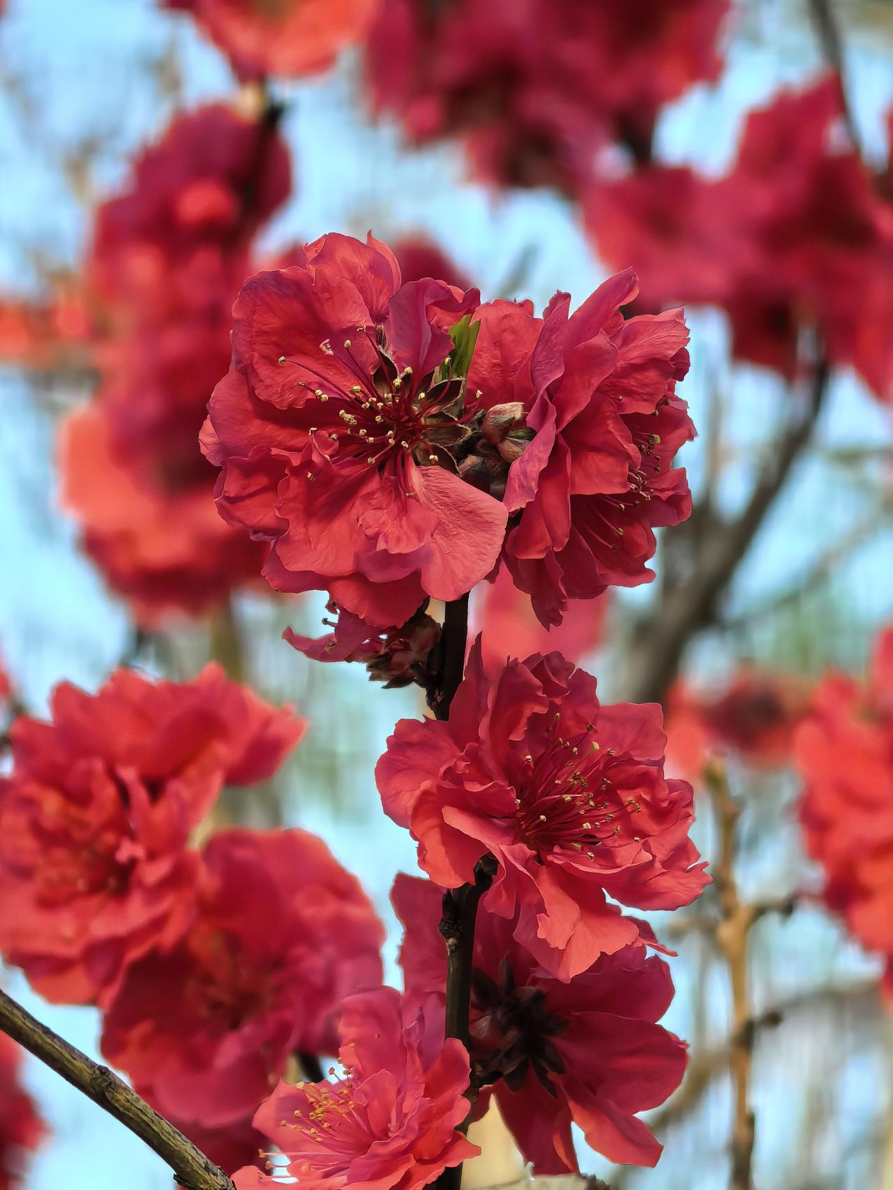 人总有一天会明白，平平淡淡才是真，粗茶淡饭才最香。

年轻时，无论事业多发达，前