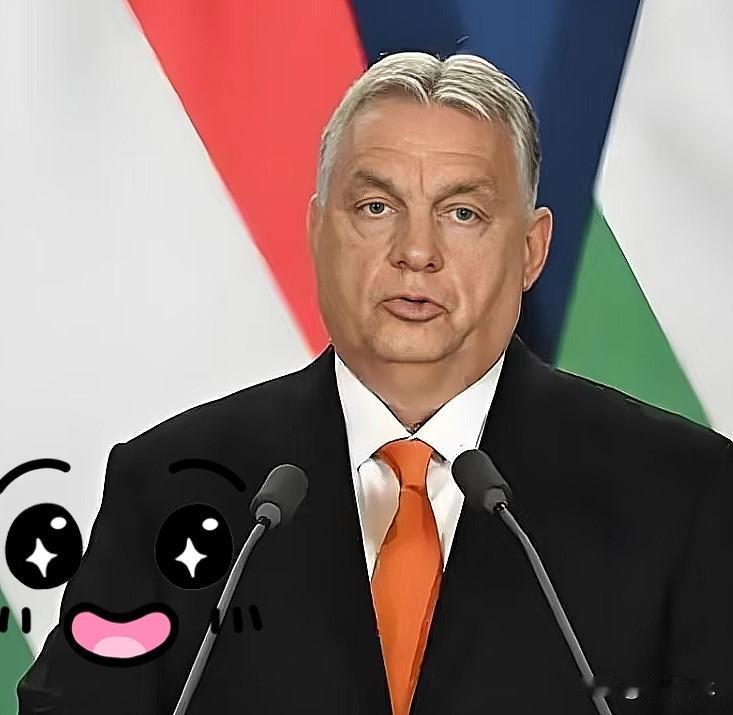 匈牙利迎来新总理——毛焦尔。毛焦尔，45岁。匈牙利蒂萨党领导人。

前总理欧尔班